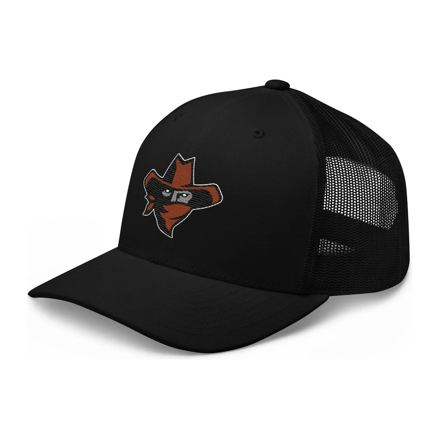 Outlaws Baseball Embroidered Snapback